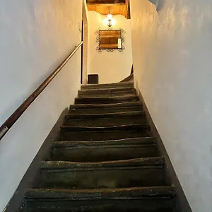 Navona Fox House Apartamento Roma